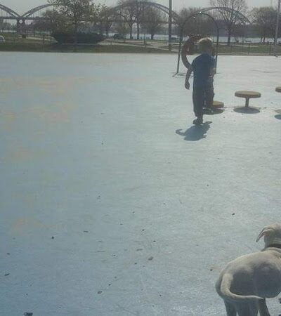 Centennial Dog Park - Davenport, IA