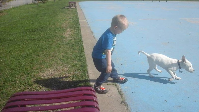 Centennial Dog Park - Davenport, IA