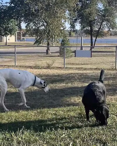 Centennial Dog Park - Davenport, IA