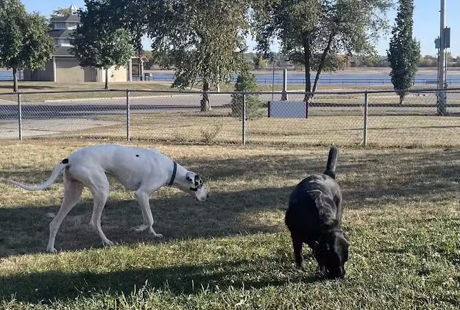 Centennial Dog Park - Davenport, IA