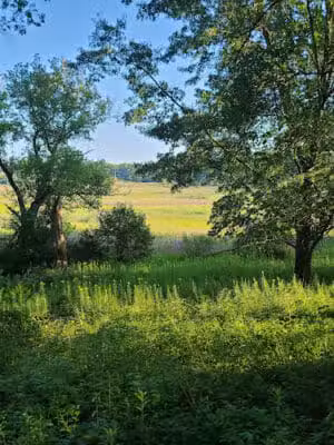 Shiawassee Basin Preserve Park - Davisburg, MI