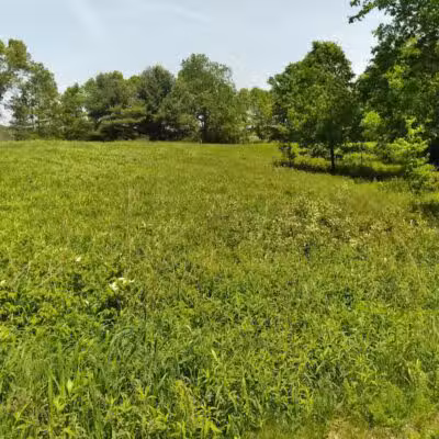 Shiawassee Basin Preserve Park - Davisburg, MI
