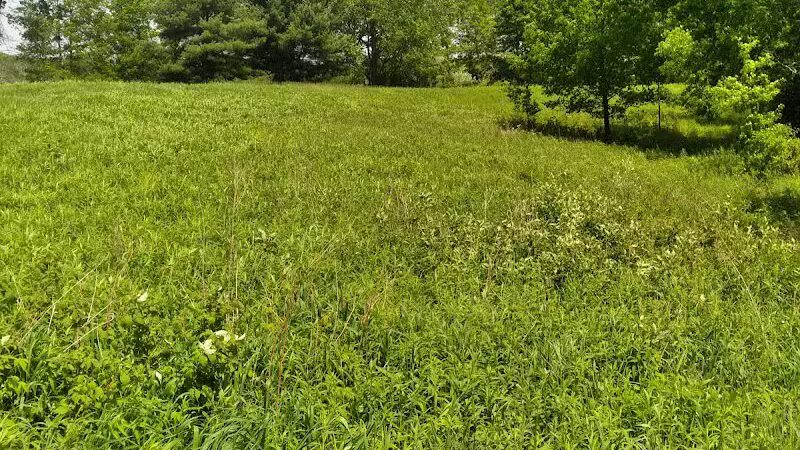 Shiawassee Basin Preserve Park - Davisburg, MI
