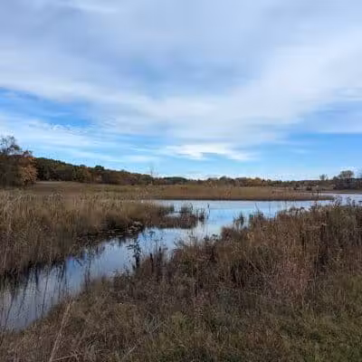 Shiawassee Basin Preserve Park - Davisburg, MI