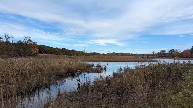 Shiawassee Basin Preserve Park - Davisburg, MI