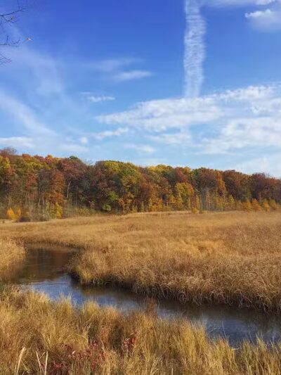 Shiawassee Basin Preserve Park - Davisburg, MI