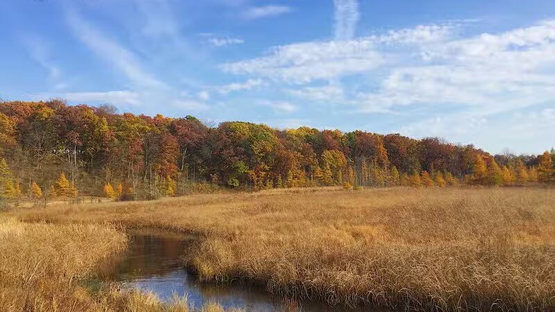 Shiawassee Basin Preserve Park - Davisburg, MI