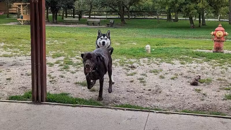 Davison Area Dog Park - Davison, MI