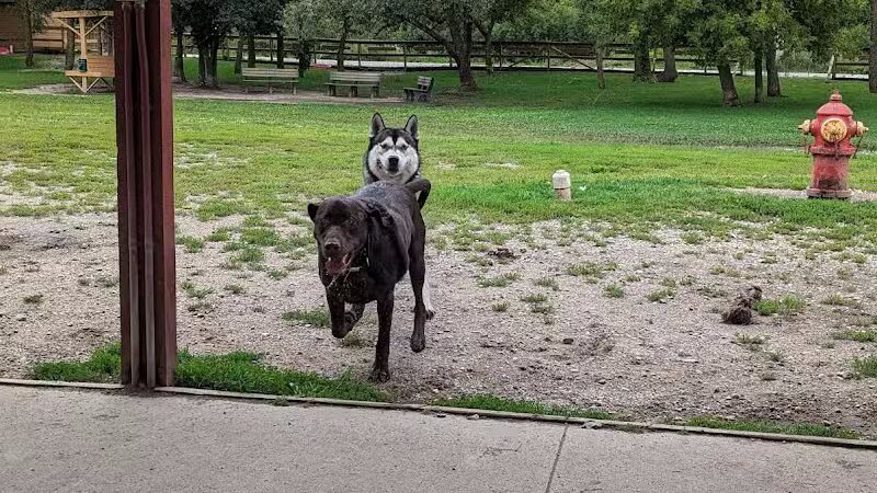 Davison Area Dog Park - Davison, MI