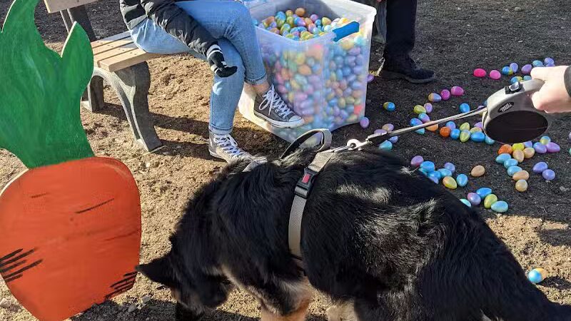 Davison Area Dog Park - Davison, MI