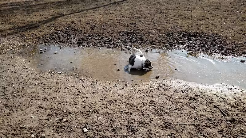 Davison Area Dog Park - Davison, MI
