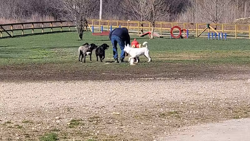 Davison Area Dog Park - Davison, MI