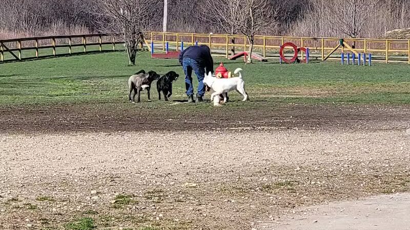 Davison Area Dog Park - Davison, MI