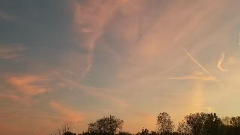 Davison Area Dog Park - Davison, MI