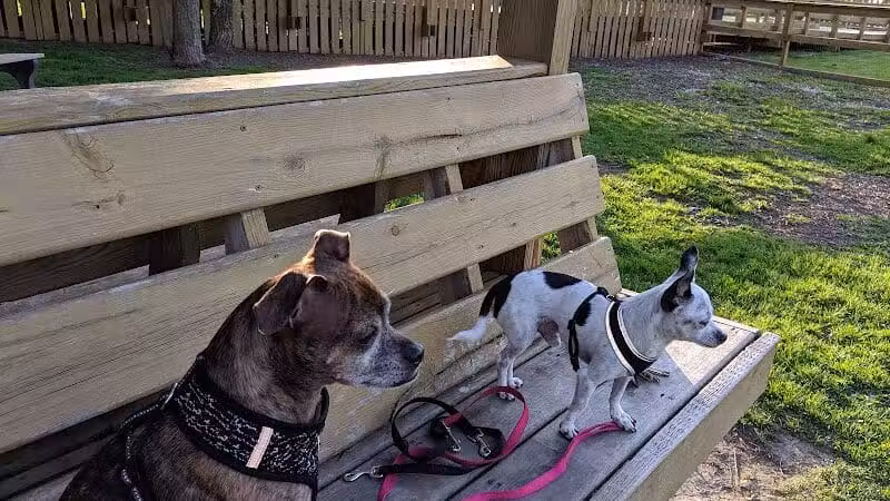 Davison Area Dog Park - Davison, MI