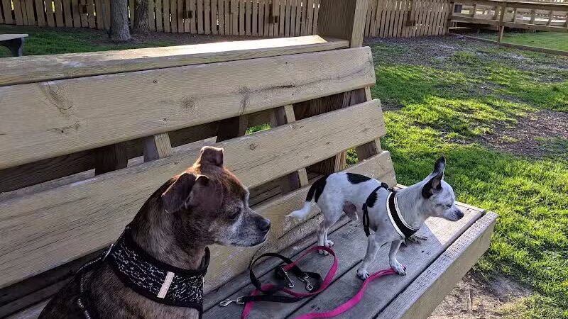 Davison Area Dog Park - Davison, MI