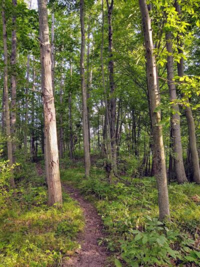 Fishing Parking - Davison,