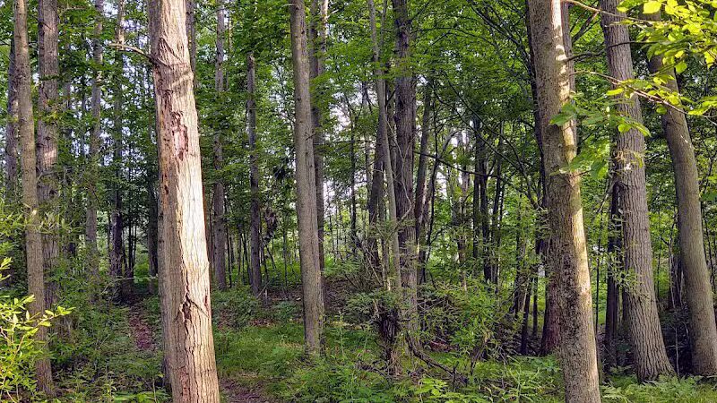 Fishing Parking - Davison,