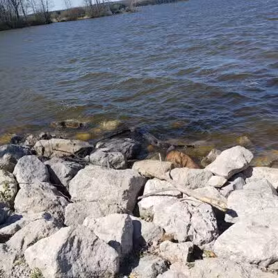 Fishing Parking - Davison,