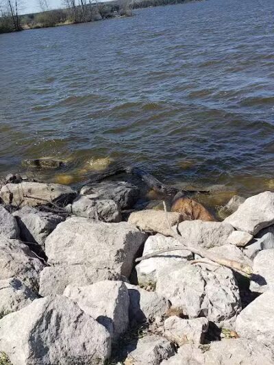 Fishing Parking - Davison,