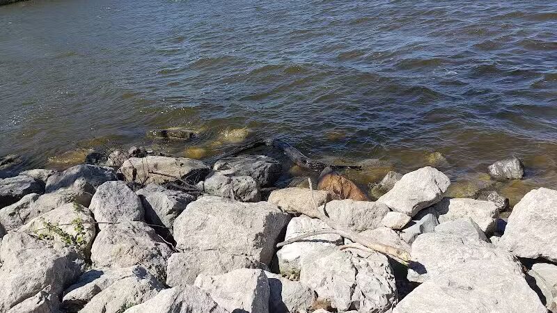 Fishing Parking - Davison,