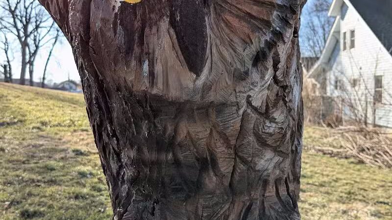 Highland Dog Park - Dayton,