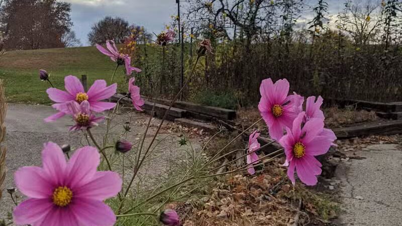 Highland Dog Park - Dayton,