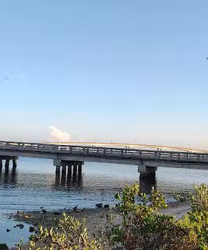 Brownie's Dog Park - Daytona Beach, FL