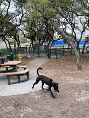 Van Alder Dog Park - Daytona Beach Shores, FL