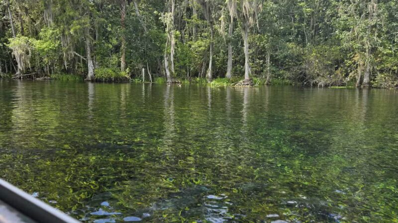 De León Springs State Park - De Leon Springs, FL