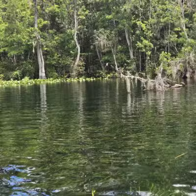 De León Springs State Park - De Leon Springs, FL