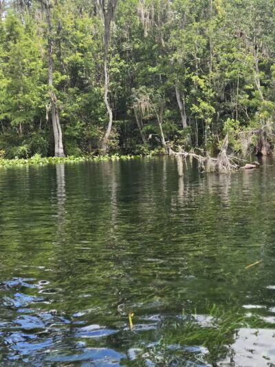 De León Springs State Park - De Leon Springs, FL