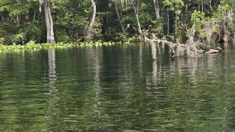 De León Springs State Park - De Leon Springs, FL