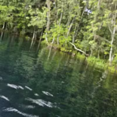 De León Springs State Park - De Leon Springs, FL