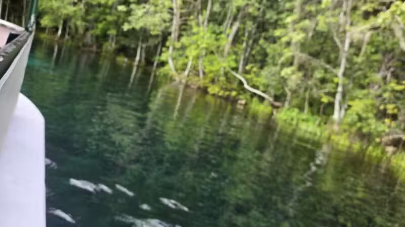 De León Springs State Park - De Leon Springs, FL