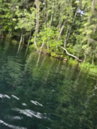 De León Springs State Park - De Leon Springs, FL