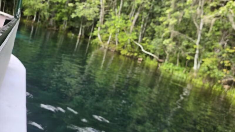 De León Springs State Park - De Leon Springs, FL