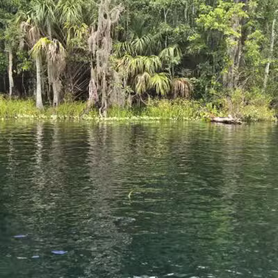 De León Springs State Park - De Leon Springs, FL