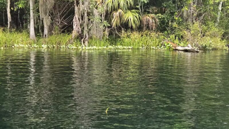 De León Springs State Park - De Leon Springs, FL