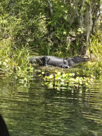 De León Springs State Park - De Leon Springs, FL