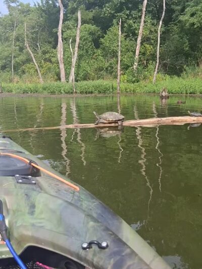 Kill Creek Streamway Dog Park - De Soto, KS