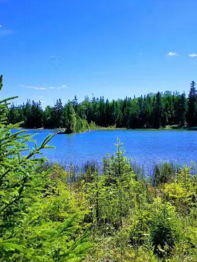 Detour Peninsula Nature Preserve - De Tour Village,