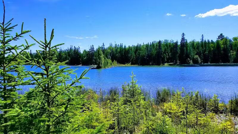 Detour Peninsula Nature Preserve - De Tour Village,