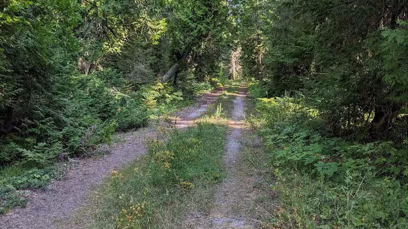 Detour Peninsula Nature Preserve - De Tour Village,