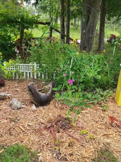 DeTour Village Botanical Gardens - De Tour Village,