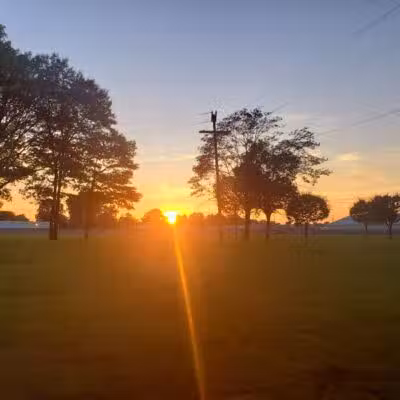 Crowley Park - Dearborn,
