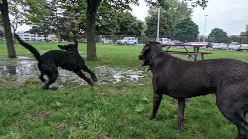 Dearborn Dog Park (Members Only) - Dearborn,