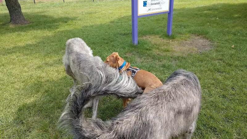 Dearborn Dog Park (Members Only) - Dearborn,