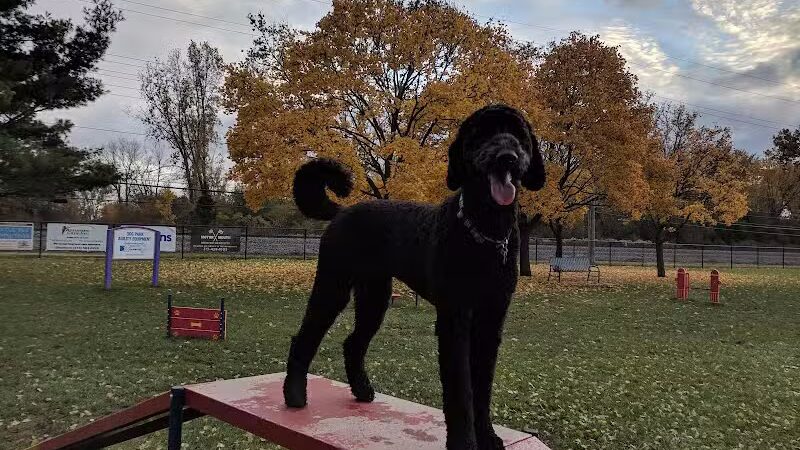 Dearborn Dog Park (Members Only) - Dearborn,