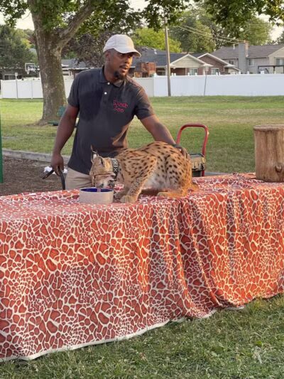 Central Park - Dearborn Heights,